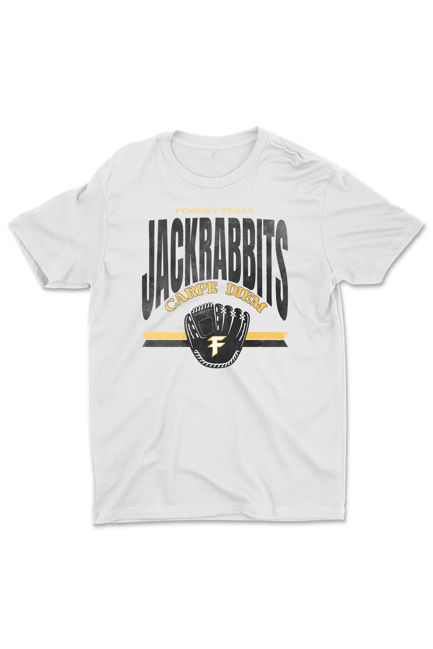 PRODUCT-IMG-DESIGN-3 Carpe Diem TEES@4x-100